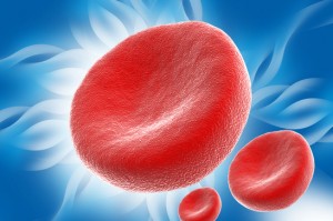 Healthy Blood Cells