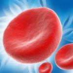 Healthy Blood Cells